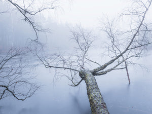 Trindemossen, Änggårdsbergen Naturreservat