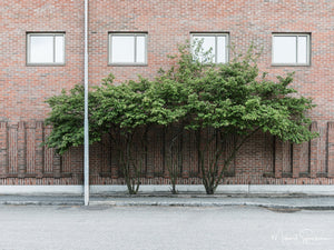 Gullbergsvass, Göteborg