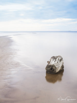 Vesslunda naturreservat, Falkenbergs kommun
