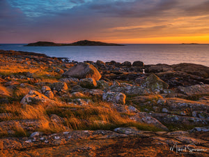 Årnäsuddens naturreservat, Varbergs kommun