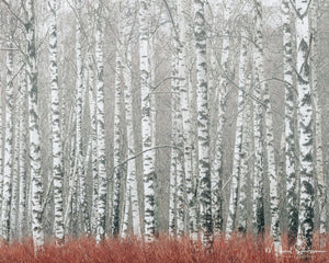 Gunnebo Kulturreservat, Mölndal