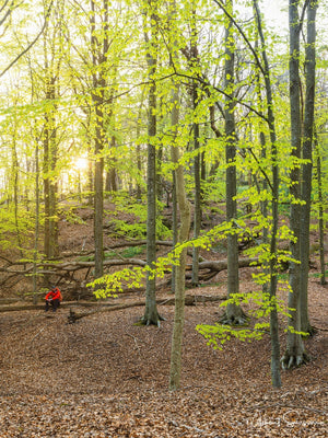 Rådasjöns Naturreservat, Härryda kommun
