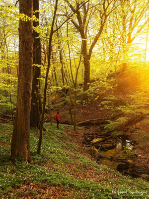 Svejserdalen, Mölndal