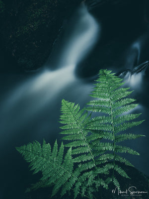 Bråtaskogen Naturreservat, Härryda kommun