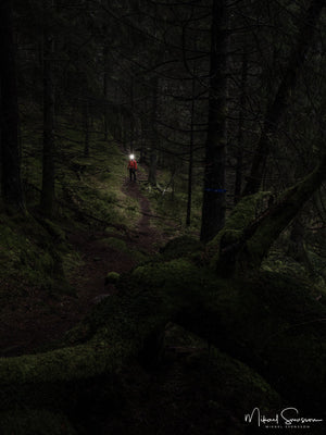 Bråtaskogen Naturreservat, Härryda kommun