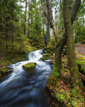 Bråtaskogen Naturreservat, Härryda kommun