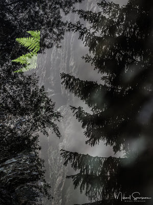 Bråtaskogens naturreservat, Härryda kommun