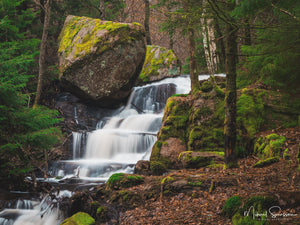 Bråtaskogens naturresevat, Härryda kommun