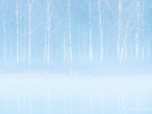 Landvettersjön, Härryda kommun