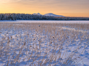 Drevsjøen, Innlandet fylke, Norge