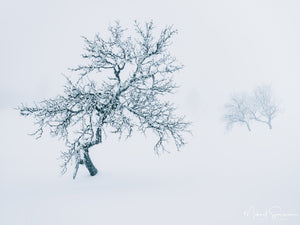 Grövelsjöfjällen, Dalarna