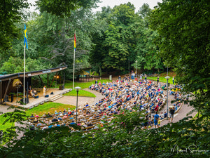 Flunsåsparken, Hisingen