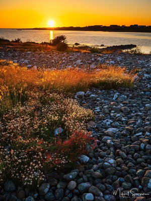 Gamla Köpstad naturreservat, Varbergs kommun