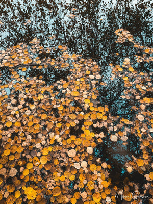 Ståloppet, Mölndal