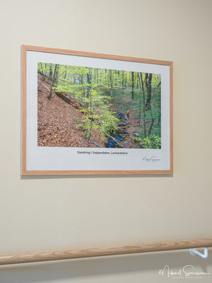 Fotokonst från Mölndals alla hörn i nyöppnat äldreboende