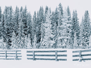 Lövåsen, Grövelsjöfjällen