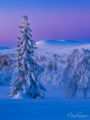 Grövelsjöfjällen, Dalarna