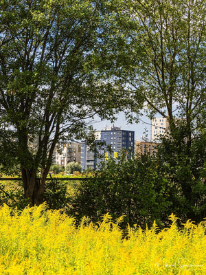 Backaplan, Hisingen