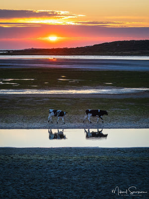 Galtabäck, Varbergs kommun