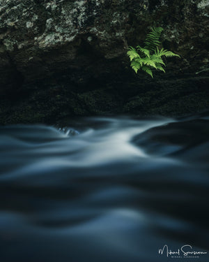 Risbohult naturreservat, Härryda kommun