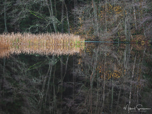 Kvarndammen, Kungälvs kommun