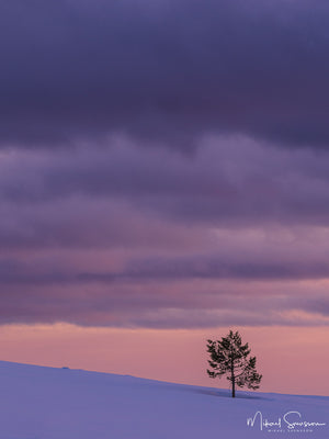 Grövelsjöfjällen, Dalarna