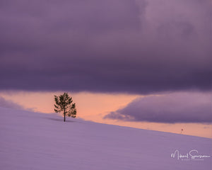 Långfjället, Dalarna