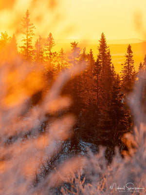 Lofsdalsfjällen, Härjedalen