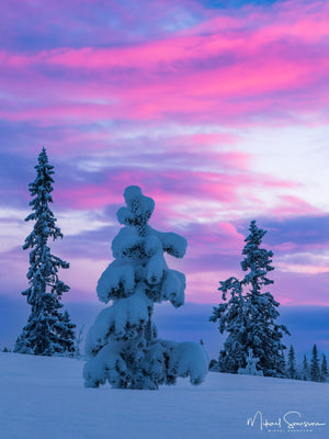 Lofsdalsfjällen, Härjedalen