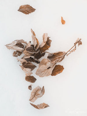 Sörvattnet, Härjedalen