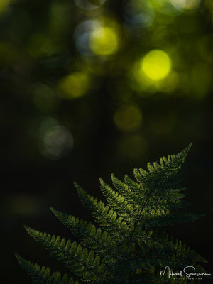 Arödsberget, Hisingen