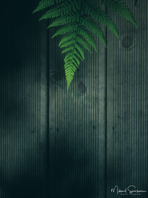 Rya Skog Naturreservat, Göteborg