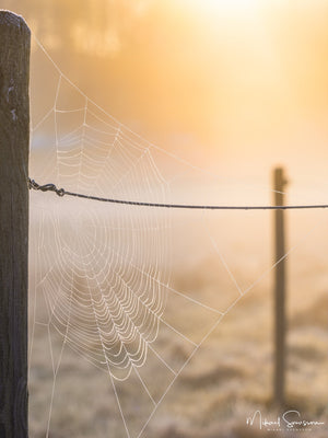 Rådasjöns Naturreservat, Härryda kommun