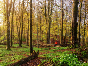 Rådasjöns Naturreservat, Härryda kommun