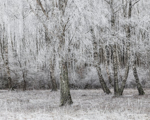 Hönö, Öckerö kommun