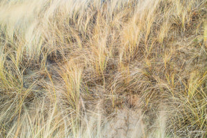 Vesslunda Naturreservat, Falkenbergs kommun