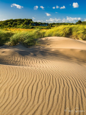Grimsholmen naturreservat, Falkenbergs kommun