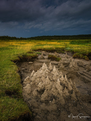 Vallda Sandö naturreservat, Kungsbacka kommun