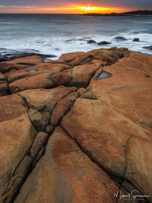 Steninge, Halmstads kommun