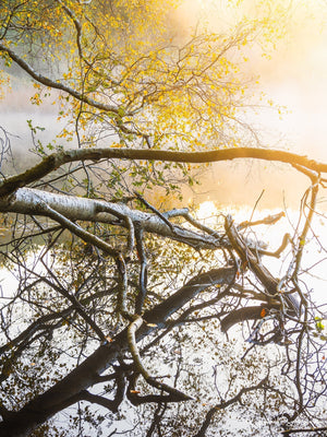Ståloppet, Mölndal