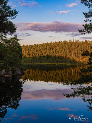Stendammen, Lilla Edets kommun