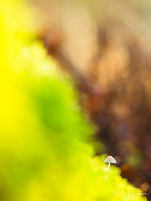 Änggårdsbergen, Mölndal