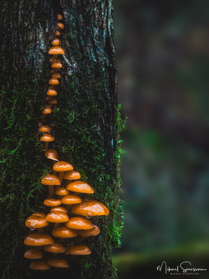 Änggårdsbergen, Mölndal