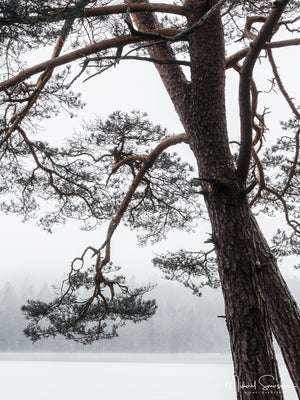 Finnsjön, Härryda kommun