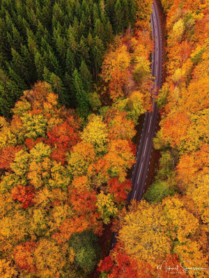 Tostaredsvägen, Kungsbacka kommun