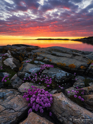Särö Västerskog Naturreservat, Kungsbacka kommun