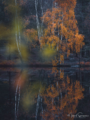 Trinde mosse, Änggårdsbergen