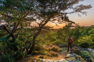 Ranebo Naturskog, Stenungssunds kommun
