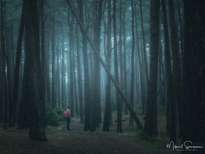 Änggårdsbergen naturreservat