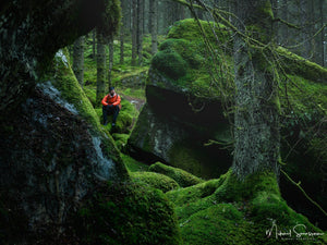 Svartedalen naturreservat, Stenungssunds kommun